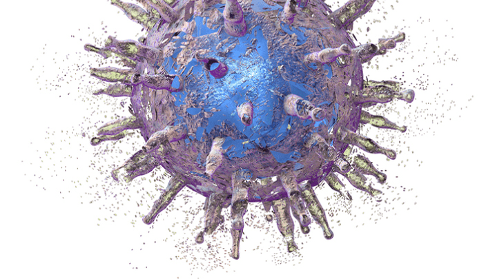 The Epstein-Barr virus and thyroid connection