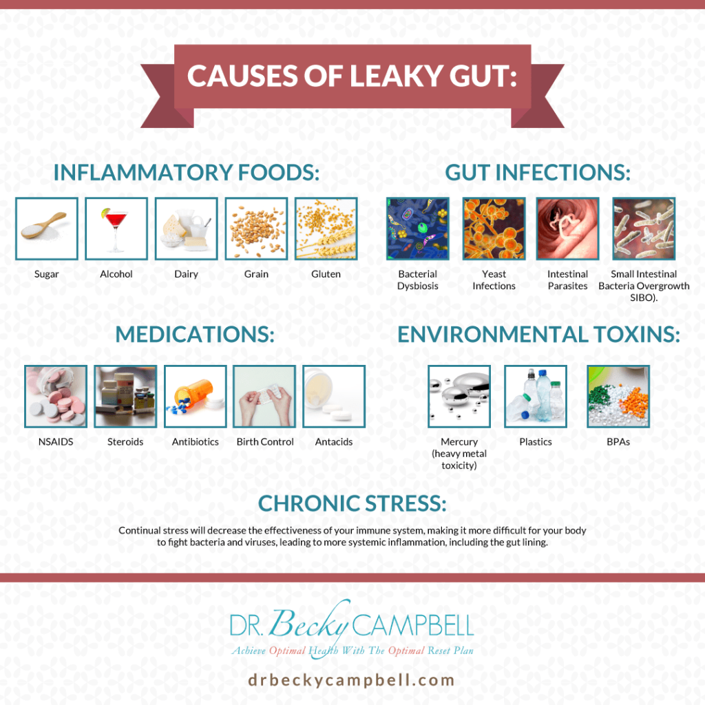 Histamine Intolerance and Your Gut Dr Becky Campbell