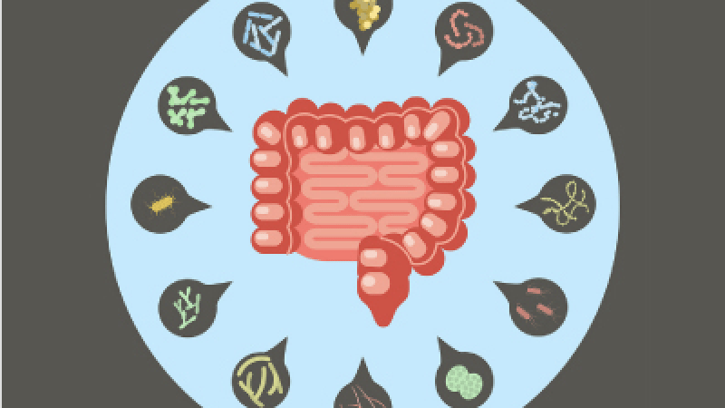 Leaky gut