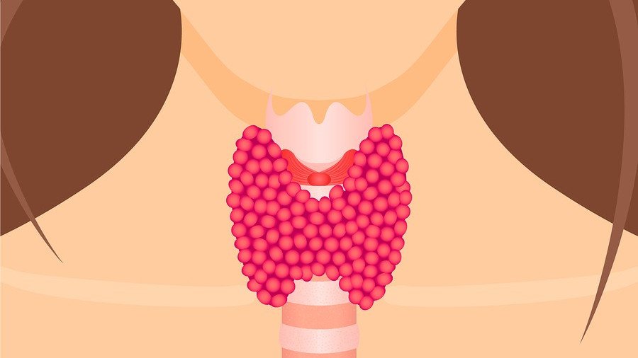 Get the skinny on Hashimoto's disease - symptoms, causes and treatments