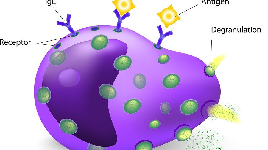 Mast Cell Activation Syndrome