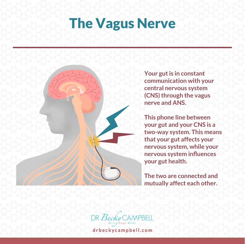 SIBO, Histamine Intolerance, POTS, and Dysautonomias The Gut