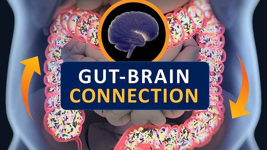 Gut brain connection