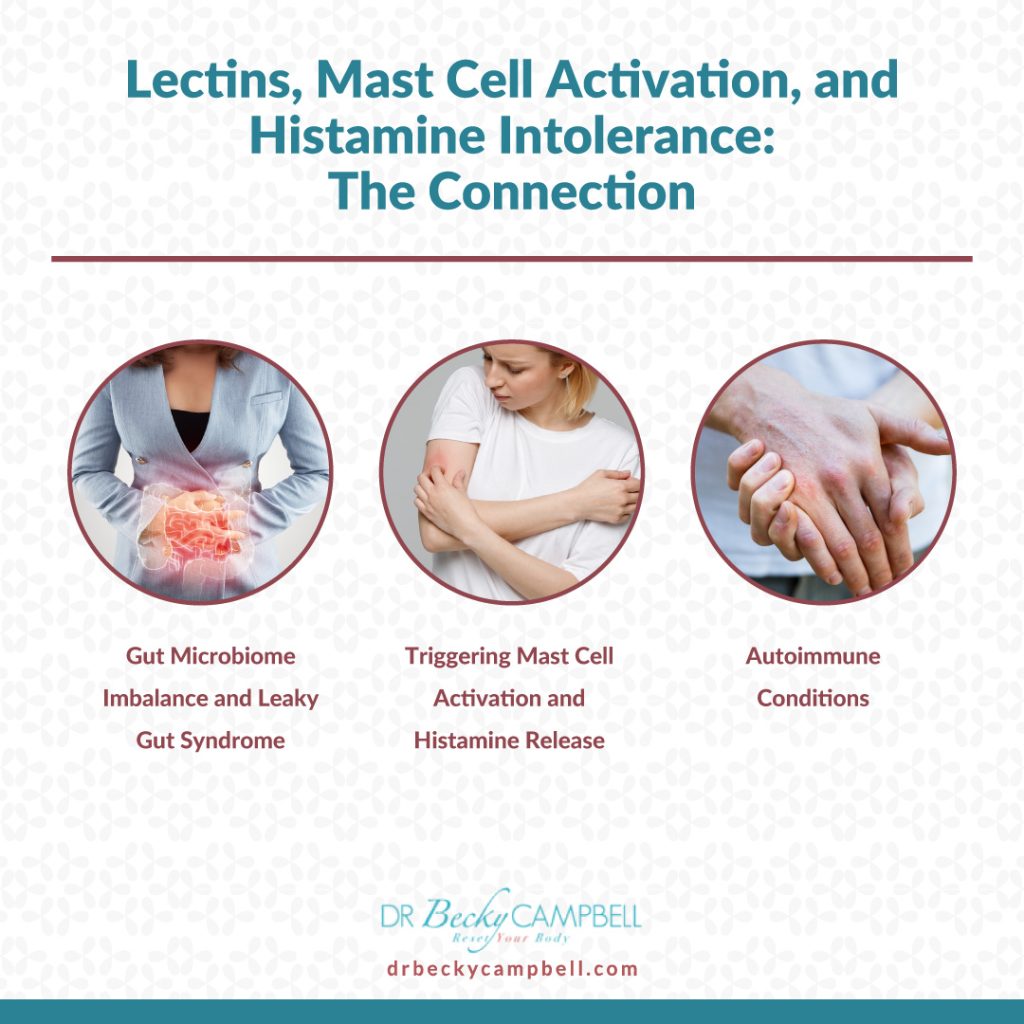 lectins and mast cells