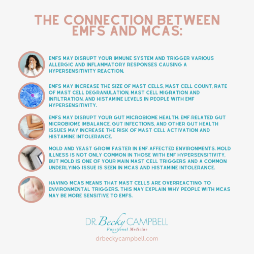 What’s the Connection Between EMF and Your Mast Cells + What to Do(00)