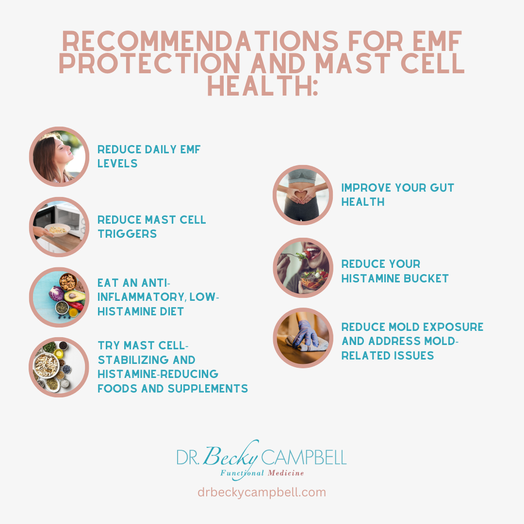 What’s the Connection Between EMF and Your Mast Cells + What to Do(04)
