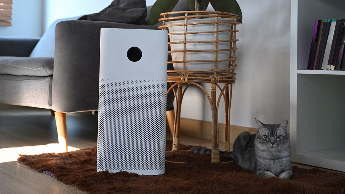 air purifier and cat in living room