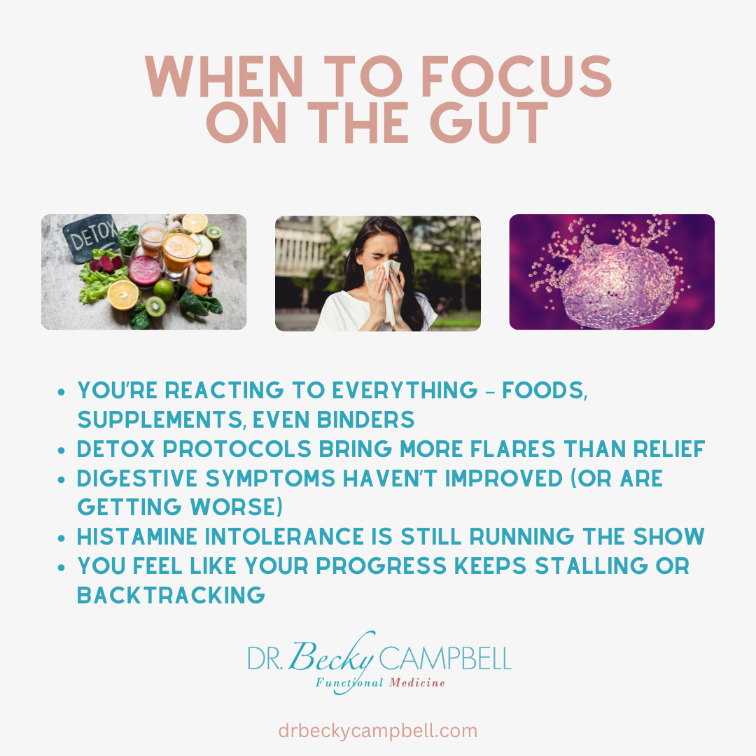 Gut