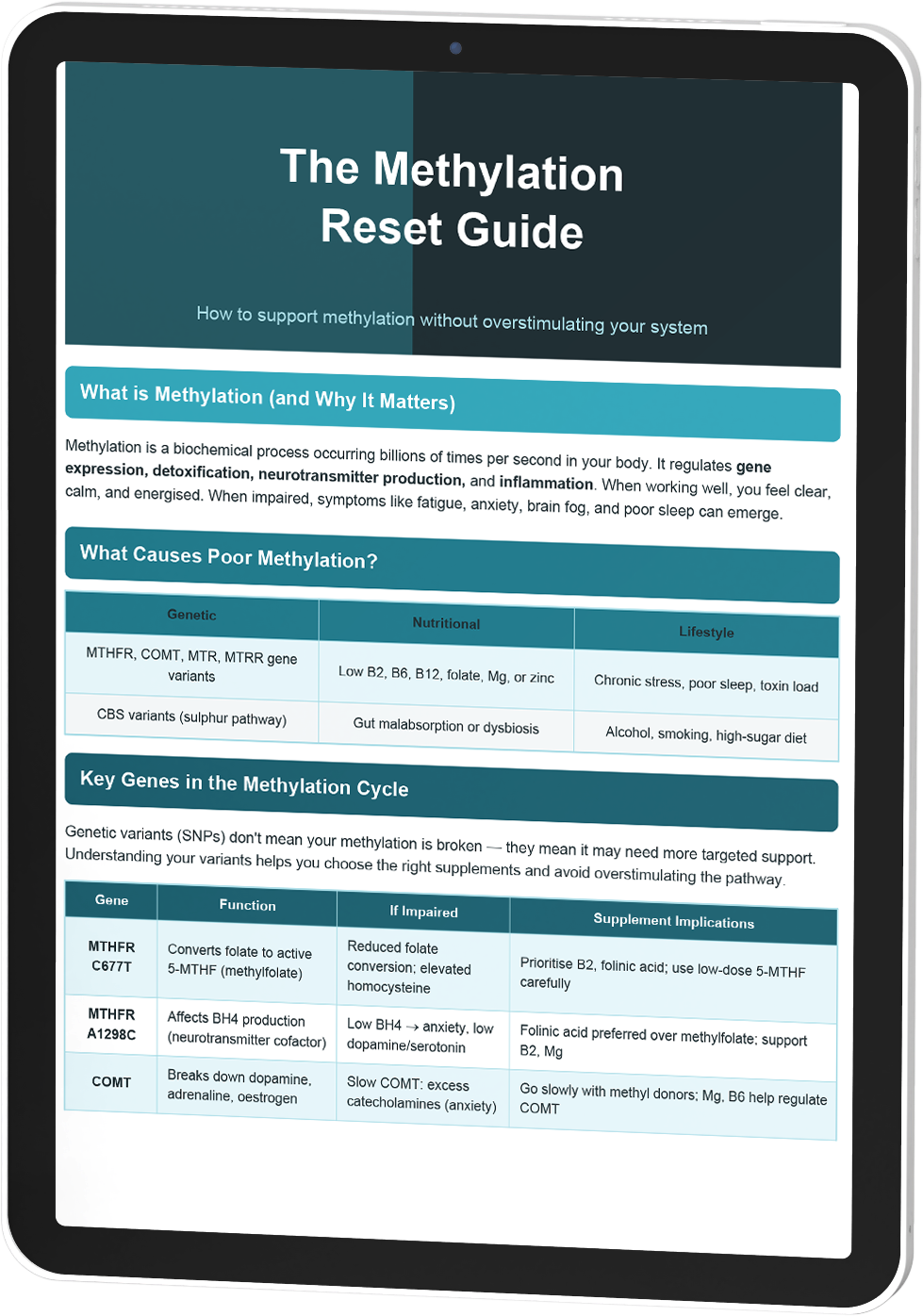 The Methylation Reset Guide