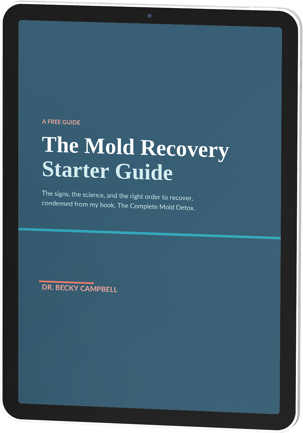 Mold Recovery Starter Guide